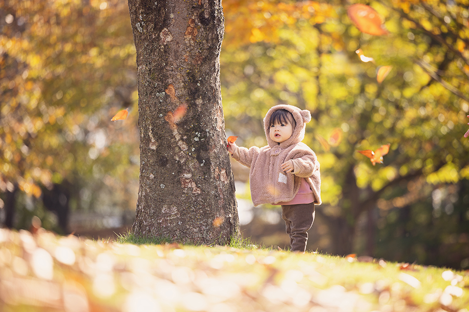 �q�� �L�b�Y ���{�s�@���P�[�V�����B�e